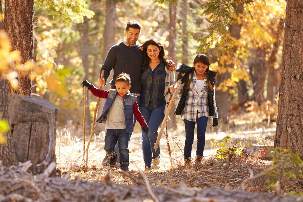 The Importance Of Family Bonding AdventureBook